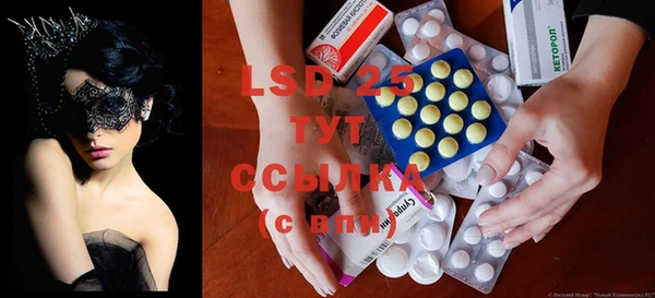 PSILOCYBIN Горняк