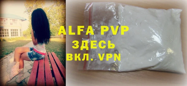 PSILOCYBIN Горняк