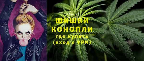 мдпв Гусиноозёрск