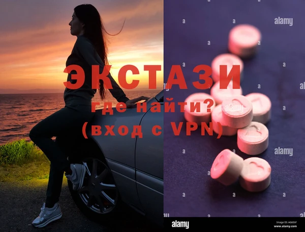 шишки Гусев