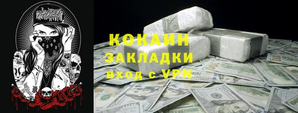 шишки Гусев