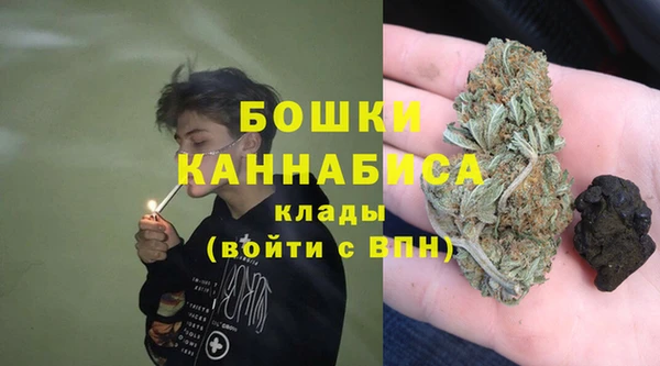 PSILOCYBIN Горняк